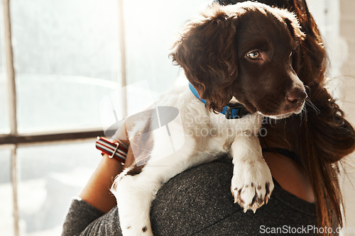 Image of Dog, window and woman hug pet in home, bonding and caring. Love, dogs and female hugging, cuddle or embrace with domestic animal with affection, support and enjoying quality time together in house.