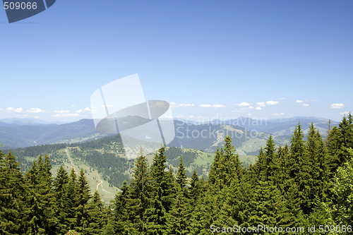 Image of Forest landscape