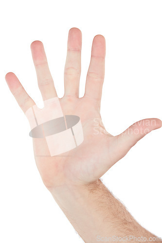 Image of Closeup hand, palm and high five by white background with sign language, communication and stop warning. Isolated hand sign, wave and hello with fingers for friendly greeting, support or motivation