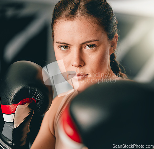 Image of Boxer, portrait or woman training for fitness in cardio workout or exercise with boxing gloves or focus at gym. Face, girl fighter or healthy sports athlete with courage, power or strong mindset