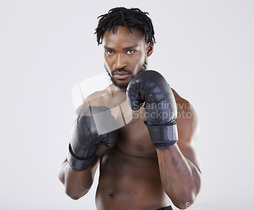 Image of Fitness, boxer portrait and black man with gloves to fight for sports training and workout in studio. Strong athlete person for exercise, boxing performance and mma competition with power and energy