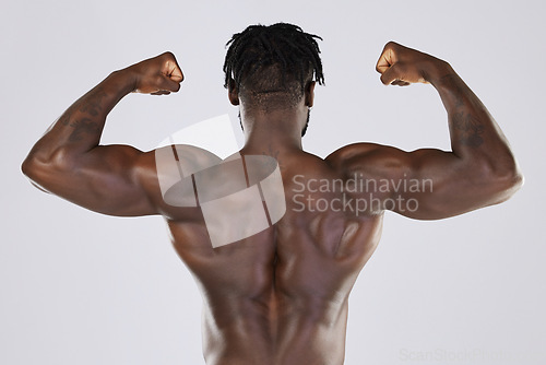 Image of Flexing, muscle and back of a black man with power isolated on a grey studio background. Fitness, sexy and strong body of an African bodybuilder showing biceps from gym exercise on a backdrop