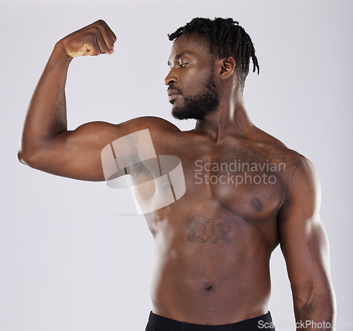 Image of Black man, fitness and flex muscle for sports training in studio for strong body, biceps and power. Health and wellness of sexy male bodybuilder model with growth motivation after exercise workout