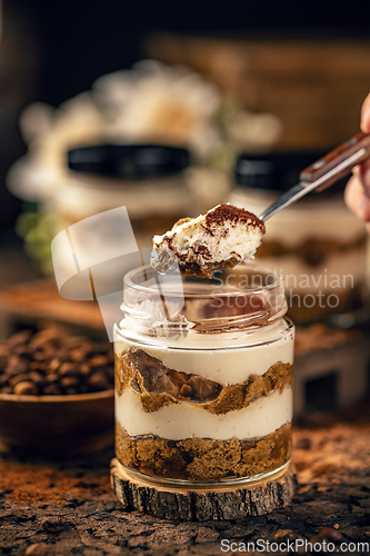 Image of Portion of classic tiramisu dessert