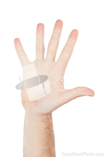 Image of Numbers, showing and hand of a person for communication isolated on a white background in studio. High five, sign language and palm of a man for a warning, conversation and hello on a backdrop