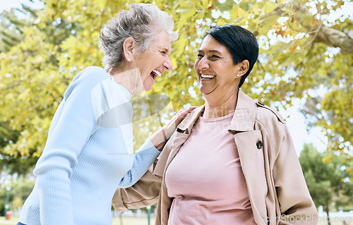 Image of Senior friends, laughing or bonding in nature park, public garden or relax environment in retirement, support or trust. Smile, happy or diversity elderly women in comic joke, funny meme or emoji face