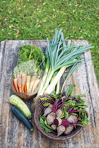 Image of Vegetable garden