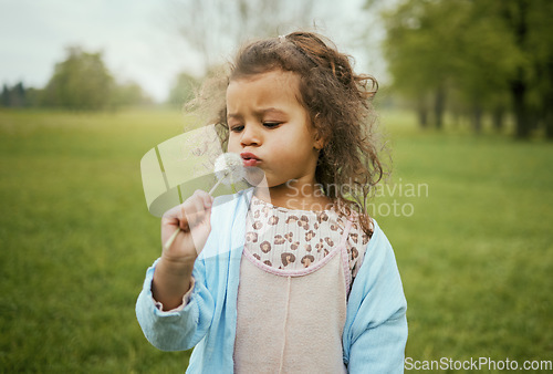 Image of Nature, relax and child with blowing a dandelion for a wish, playing and exploring on a field in Norway. Spring, playful and girl with a flower plant in a park for calm, peace and outdoor adventure
