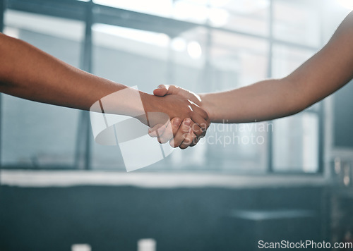 Image of Fitness, partnership or people handshake at gym for team work, trust or support after workout or exercise. Community, friends or healthy sports athletes shaking hands after training collaboration