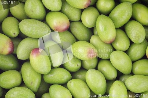 Image of Raw Olives