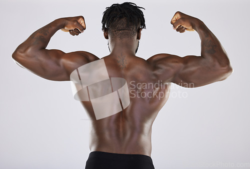 Image of Flexing, arms and back of a black man with muscle isolated on a grey studio background. Fitness, sexy and strong body of an African bodybuilder showing strength from gym exercise on a backdrop