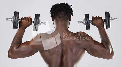 Image of Dumbbell, strong muscle and fitness of a black man doing power workout in studio. Back of sexy bodybuilder person doing exercise or training with weights for health, wellness and body growth progress