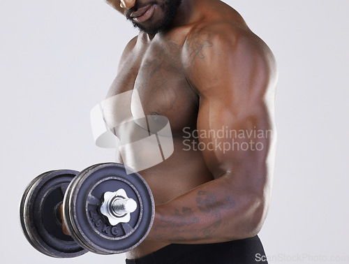 Image of Black man, strong muscle and dumbbell training for power workout in studio. Body of a sexy bodybuilder person doing fitness exercise with weights for growth, health and wellness with bicep progress