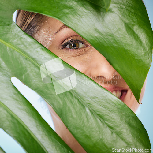 Image of Portrait, skincare and palm leaf with a model woman posing in studio on blue background for beauty. Face, skin or nature with an attractive young female standing behind a plant for natural treatment