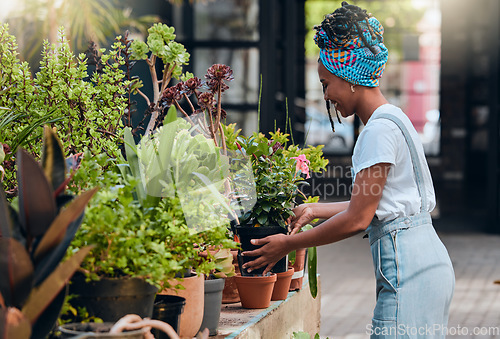 Image of Business owner, black woman and plant shop for garden, nursery or greenhouse retail. Entrepreneur working in green startup store or market for sustainability, environment and gardening growth outdoor