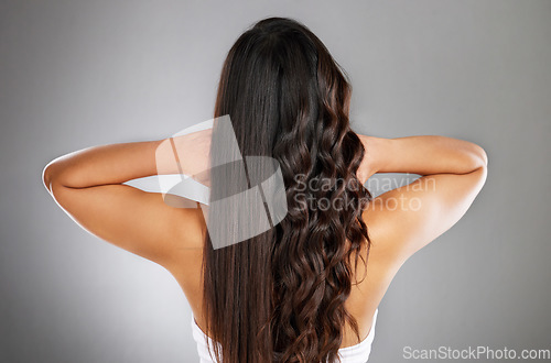 Image of Woman back, curly or straight hairstyle on gray studio background for keratin treatment marketing, waves product advertising or grooming. Model, brunette color or healthy growth texture in wellness