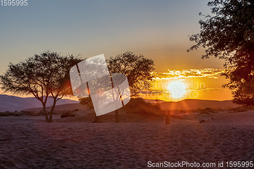 Image of sunrise in Hidden Vlei, desert in Namibia, Africa