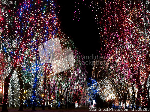 Image of Christmas lights
