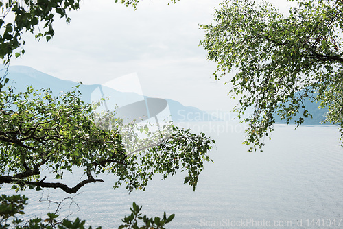 Image of Teletskoye lake in Altai mountains