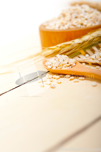 Image of organic wheat grains