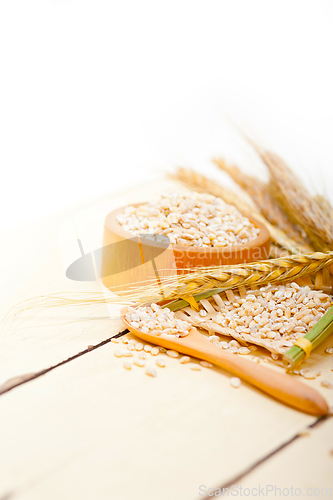 Image of organic wheat grains