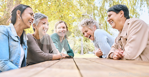 Image of Park table, friends and women laughing at funny joke, crazy meme or comedy outdoors. Comic, happy and group of senior females with humor bonding, talking and enjoying quality time together in nature.