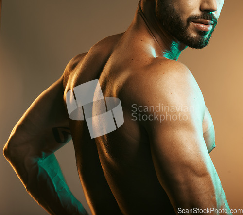 Image of Man, body or back muscles on studio background with creative light aesthetic, training goals or workout progress. Zoom, skin or bodybuilder fitness model for healthcare wellness or exercise strength