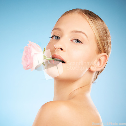 Image of Woman, cosmetic studio and rose in mouth for beauty, spring or natural aesthetic by blue background. Healthy model, flower and portrait for organic cosmetics, skin glow and facial makeup for wellness