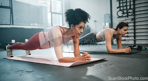 Image of Girl friends, plank and gym fitness of women doing exercise, workout and body wellness. Motivation, woman focus and challenge of people in sports training and athlete class exercising for health