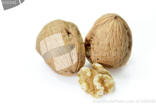 Image of Walnuts