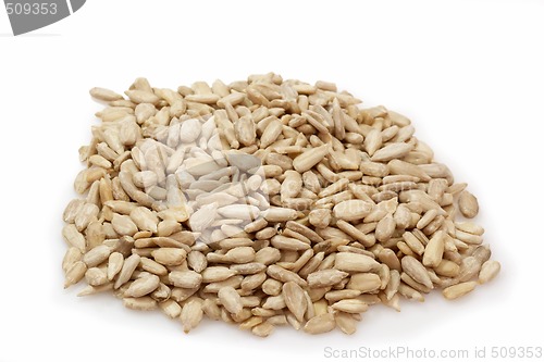 Image of Sunflower seeds