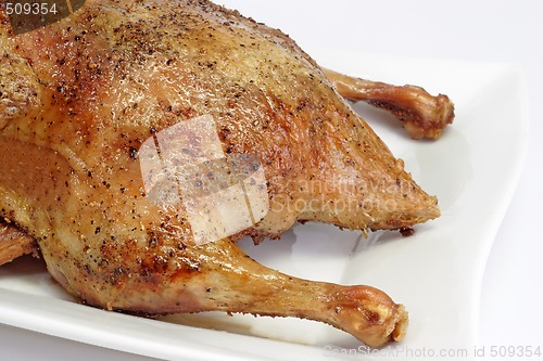 Image of Roasted duck_3