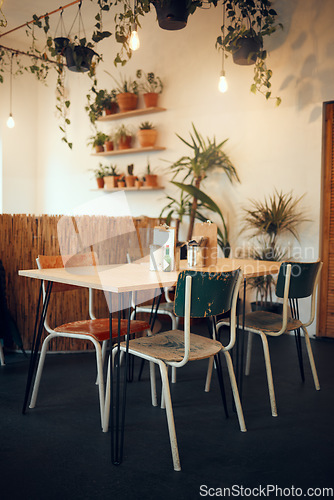 Image of Cafe, empty space or restaurant design interior with modern table, plant and chairs during the day. Luxury, open space or coffee shop with furniture for fine dinning, lunch or coffee break with decor