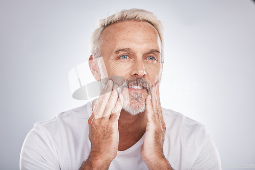 Image of Mature man touching skincare, facial beauty and barber grooming service on studio background. Male model feeling clean face, beard and moisturizer for beauty, natural body care and bathroom wellness