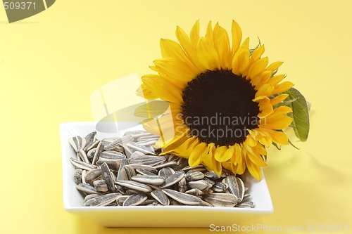 Image of Sunflower seeds_2