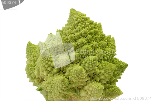 Image of Romanesco_12