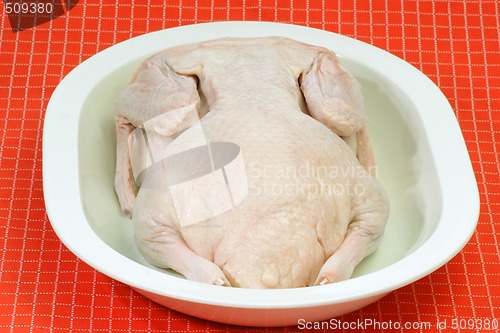 Image of Raw duck_2