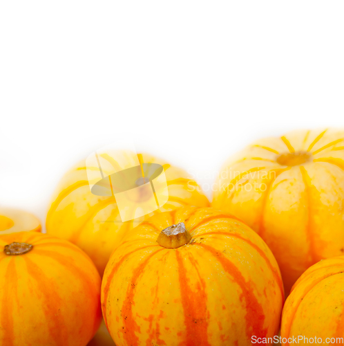 Image of fresh yellow pumpkin