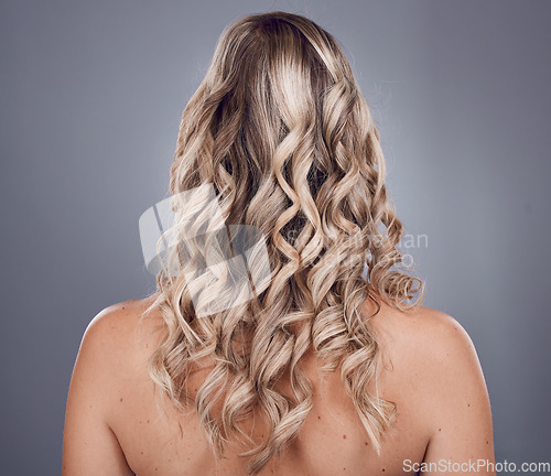 Image of Hair, beauty and style with a model woman in studio on a gray background to promote keratin treatment. Curly hairstyle, haircare and back with a female posing for natural care for strong roots