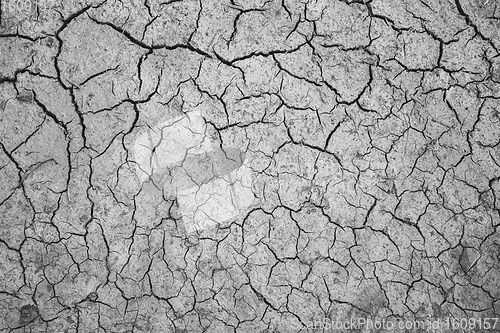 Image of Texture of dry cracked soil