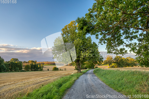 Image of Summer landscape Vysocina Czech Republic