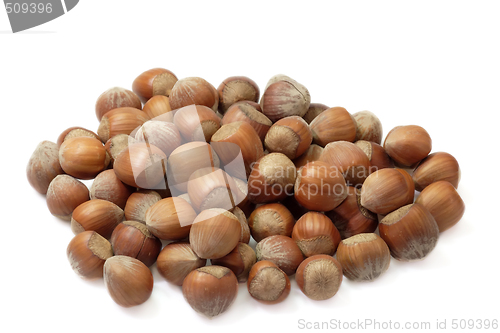 Image of Hazelnuts