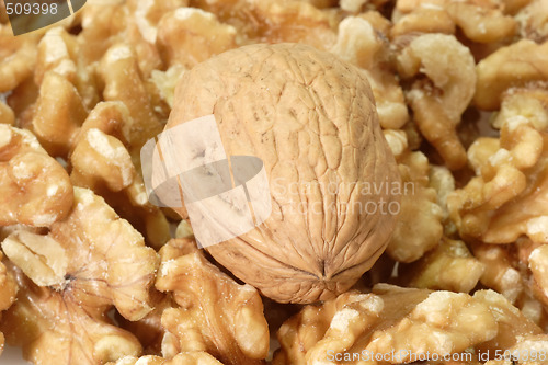 Image of Walnuts