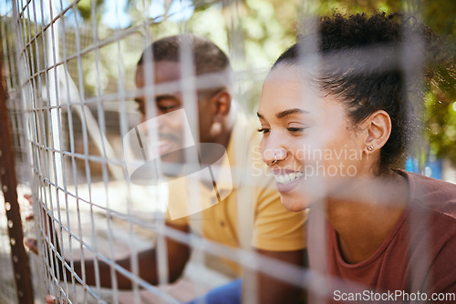 Image of Happy couple, fence and smile at animal shelter, pet centre or zoo looking for a cute companion to adopt. Black man and woman smiling in happiness behind fencing for adorable fluffy pups for adoption