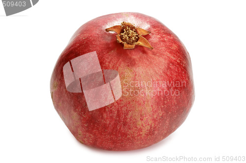 Image of Pomegranate_1