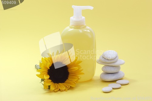 Image of Liquid soap_1