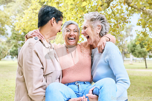 Image of Senior women, laughing or carrying in funny games, comic activity or goofy fun in nature park, grass garden or environment. Smile, happy or diversity elderly friends in retirement, support or trust