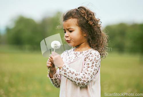 Image of Nature, child and girl blowing a dandelion for a wish while playing, exploring or on an adventure. Calm, explore and young kid blow a plant while in a green garden, park or backyard in Brazil.