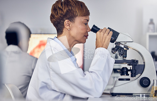 Image of Science, laboratory and black woman with microscope, research for vaccine development. Healthcare, medical innovation and senior scientist woman in hospital lab looking at pharmaceutical test results