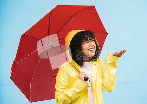 Image of Black woman, umbrella or hand checking for rain on isolated blue background in Brazil city. Person, anxiety or student in weather water drops or rainfall with curious or wondering facial expression